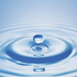 Water droplet with ripples