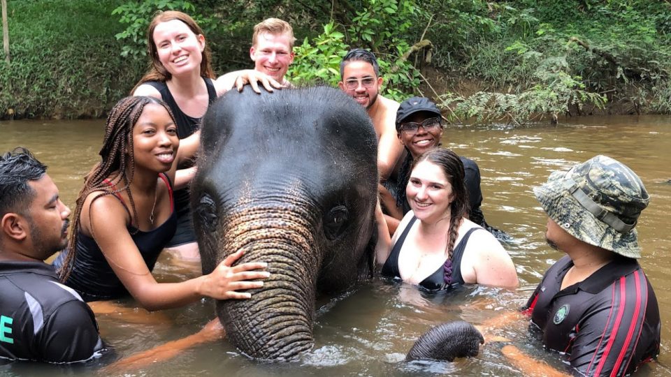 Students in water with an elephant
