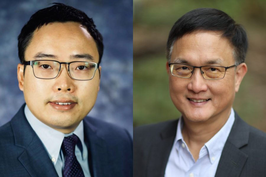 Jingchuan Pu and Hsing Kenneth Cheng.