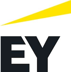 Logo for Ernst & Young, India, an employer of UF Warrington DBA alumni